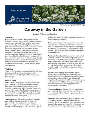 Caraway in the Garden Kristiane Pedersen and Dan Drost Summary Square Feet of Garden Area