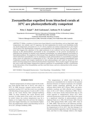 Zooxanthellae Expelled from Bleached Corals at 33°C Are