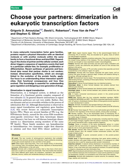 Choose Your Partners: Dimerization in Eukaryotic Transcription Factors