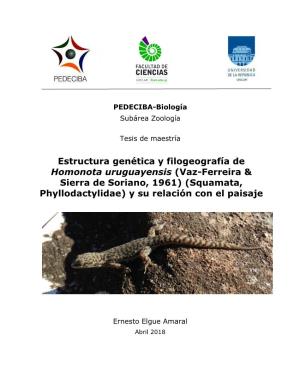 Estructura Genética Y Filogeografía De Homonota Uruguayensis (Vaz-Ferreira & Sierra De Soriano, 1961) (Squamata, Phyllodactylidae) Y Su Relación Con El Paisaje