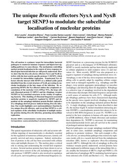 The Unique Brucella Effectors Nyxa and Nyxb Target SENP3 to Modulate the Subcellular Localisation of Nucleolar Proteins