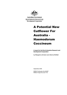 A Potential New Cutflower for Australia - Haemodorum Coccineum