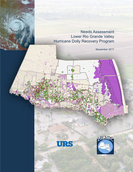 Needs Assessment Lower Rio Grande Valley Hurricane Dolly Recovery Program