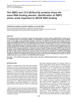 The SBP2 and 15.5 Kd/Snu13p Proteins Share the Same RNA Binding Domain: Identification of SBP2 Amino Acids Important to SECIS RNA Binding