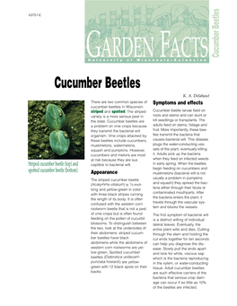 Cucumber Beetles (A3751-E) SR-05-2002