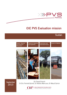 Sudan PVS Evaluation