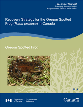 Oregon Spotted Frog (Rana Pretiosa) in Canada