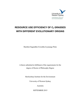 Resource Use Efficiency of C4 Grasses with Different Evolutionary Origins