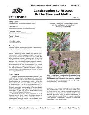 Landscaping to Attract Butterflies and Moths June 2021