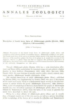 Description of Fourth Instar Larva of Ablabesmyia Phatta (E G G E R , 1863) ( D Ip Tera , Chironomidae)