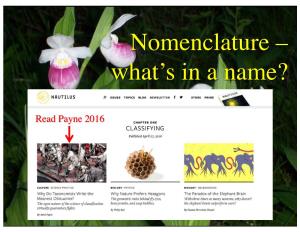 Nomenclature – What's in a Name?