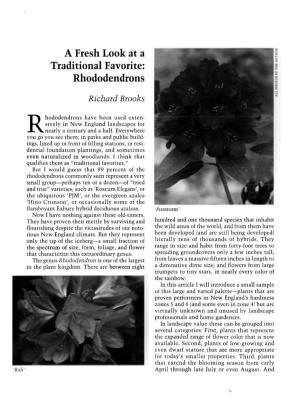 A Fresh Look at a Traditional Favorite: Rhododendrons