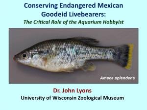 Conserving Endangered Mexican Goodeid Livebearers: the Critical Role of the Aquarium Hobbyist