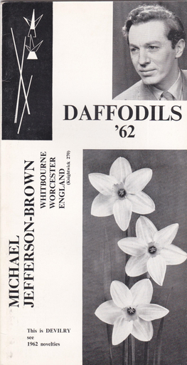 Michael Jefferson-Brown Daffodils 1962, Worcester