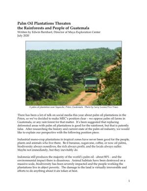 Oil Palm Plantations Threaten the Rainforests and People of Guatemala
