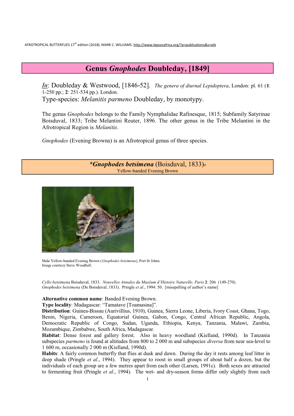 126 Genus Gnophodes Doubleday