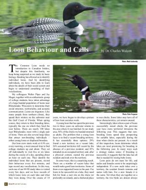 Loon Behaviour and Calls by Dr