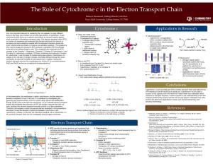 The Role of Cytochrome C in the Electron Transport Chain