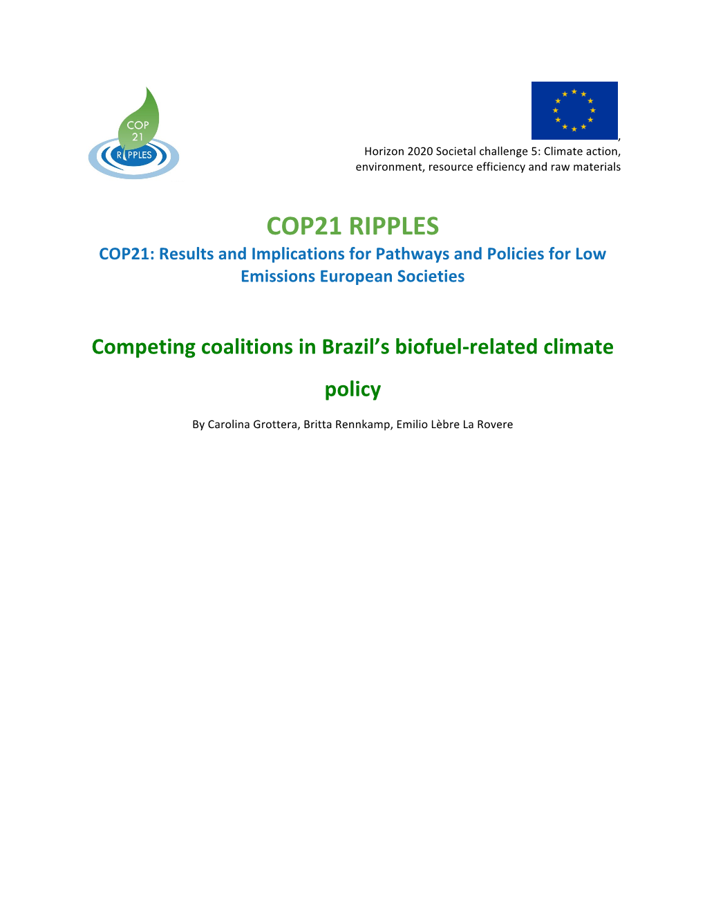 Competing Coalitions in Brazil's Biofuel‐Related