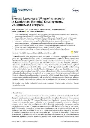 Biomass Resources of Phragmites Australis in Kazakhstan: Historical Developments, Utilization, and Prospects