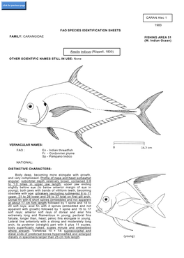 (W. Indian Ocean) Alectis Indicus (Rüppell, 1830) OTHER