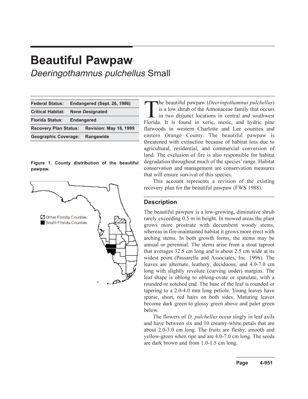 Beautiful Pawpaw Deeringothamnus Pulchellus Small
