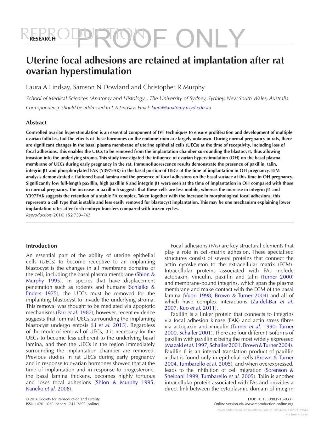 Uterine Focal Adhesions Are Retained at Implantation After Rat Ovarian Hyperstimulation