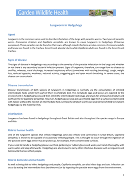 Lungworm in Hedgehogs