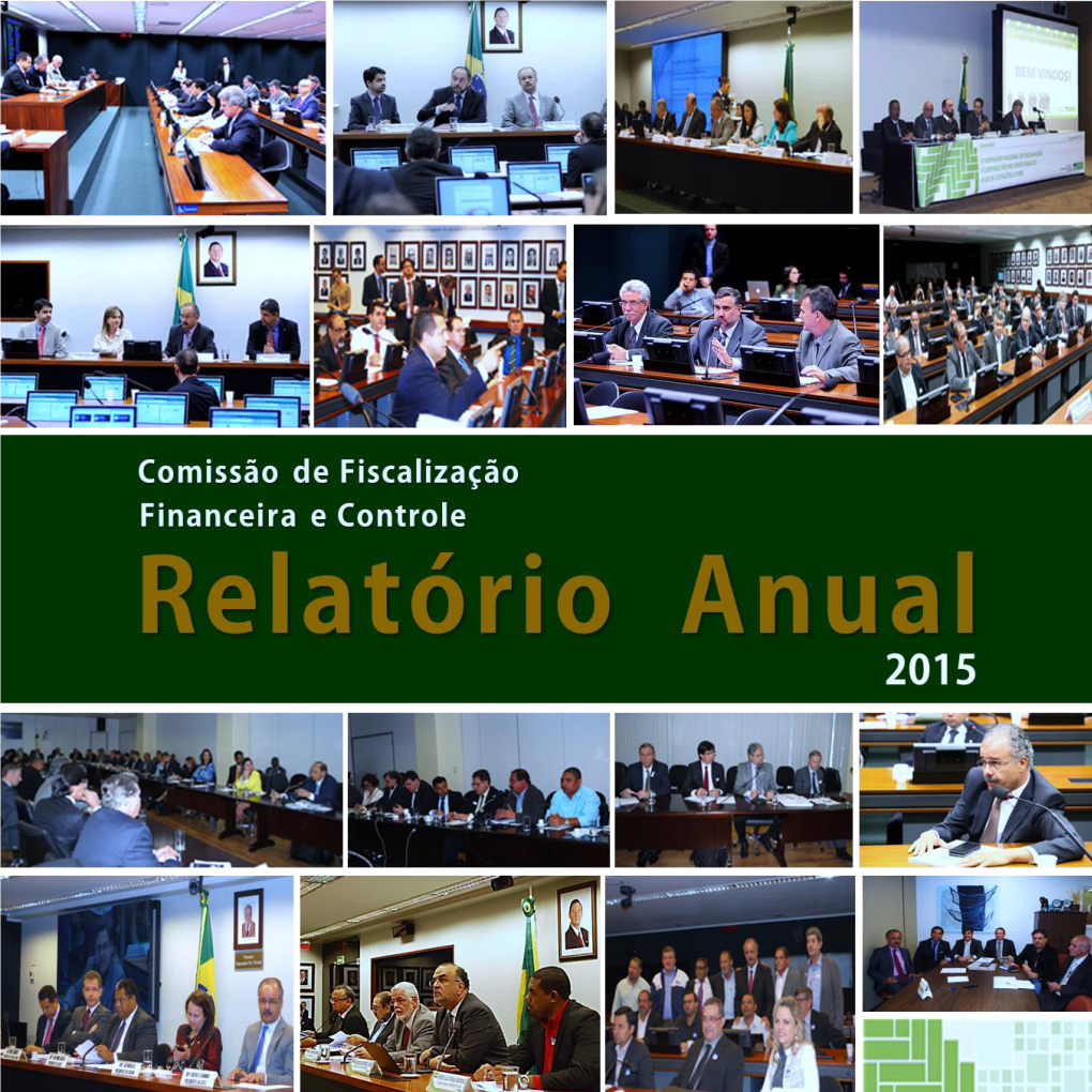 Relatório De Atividades 2015