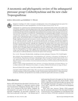 A Taxonomic and Phylogenetic Review of the Anhanguerid Pterosaur Group Coloborhynchinae and the New Clade Tropeognathinae