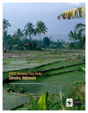 Invest Scenarios Case Study: Sumatra, Indonesia