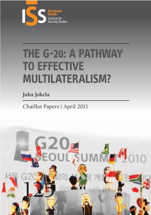 The G-20: a Pathway to Effective Multilateralism?