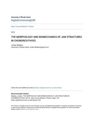 The Morphology and Biomechanics of Jaw Structures in Chondrichthyes