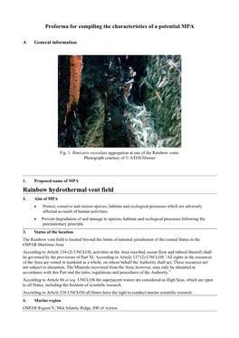 Rainbow Hydrothermal Vent Field 2