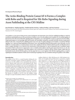 The Actin-Binding Protein Canoe/AF-6 Forms a Complex with Robo and Is Required for Slit-Robo Signaling During Axon Pathfinding at the CNS Midline