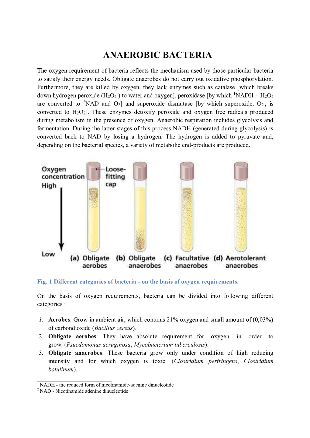 Anaerobic Bacteria