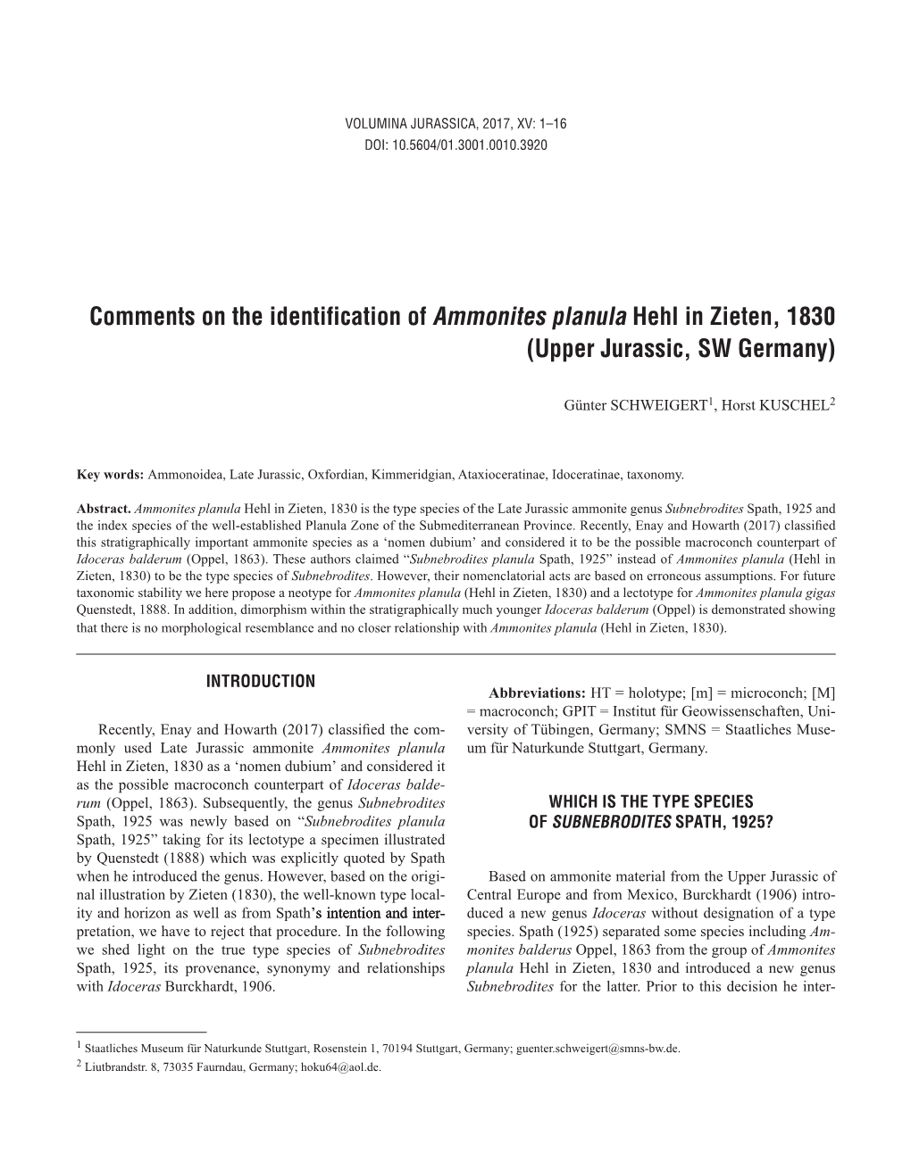 Comments on the Identification of Ammonites Planula Hehl in Zieten, 1830 (Upper Jurassic, SW Germany)