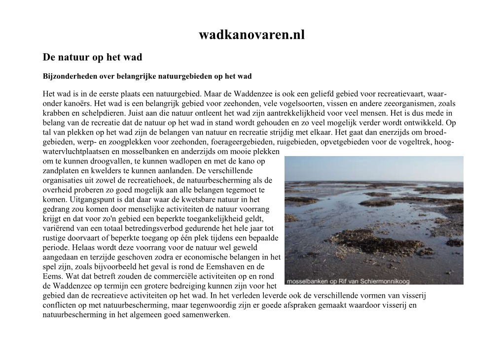 Wadkanovaren.Nl De Natuur Op Het Wad