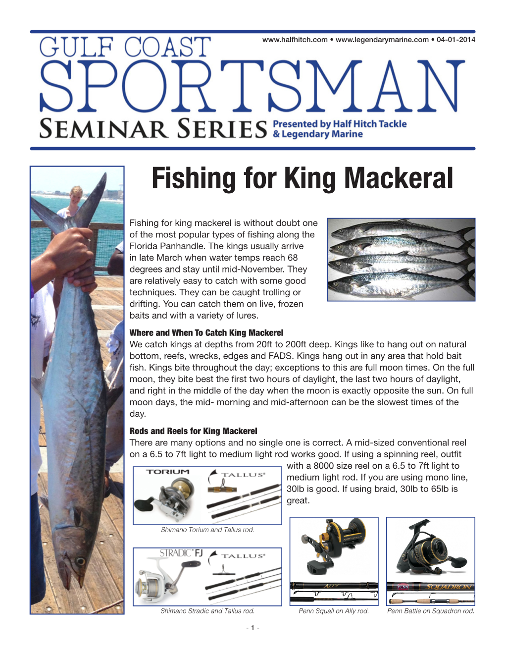 Fishing for King Mackeral