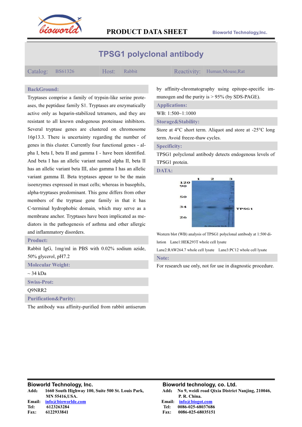 TPSG1 Polyclonal Antibody