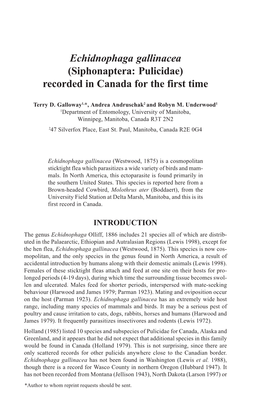 (Siphonaptera: Pulicidae) Recorded in Canada for the First Time
