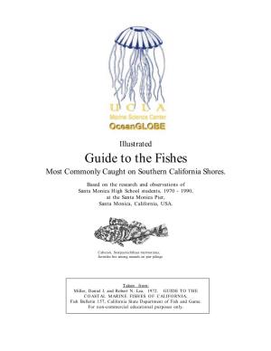 Guide to Inshore Fishes