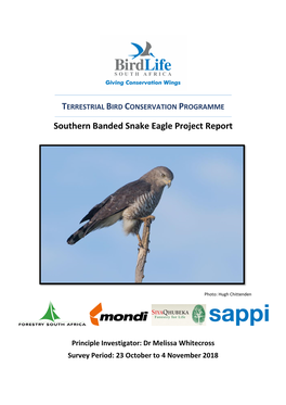 Southern Banded Snake Eagle Project Report