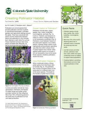 Creating Pollinator Habitat Fact Sheet No