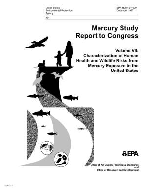 Characterization of Human Health and Wildlife Risks from Mercury Exposure in the United States