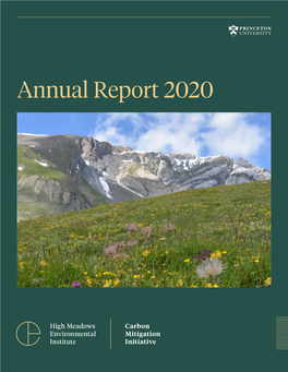 2020 CMI Annual Report