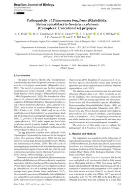 Pathogenicity of Steinernema Brazilense (Rhabditida: Steinernematidae) to Gonipterus Platensis (Coleoptera: Curculionidae) Prepupae A