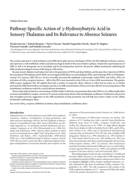 Hydroxybutyric Acid in Sensory Thalamus and Its Relevance to Absence Seizures