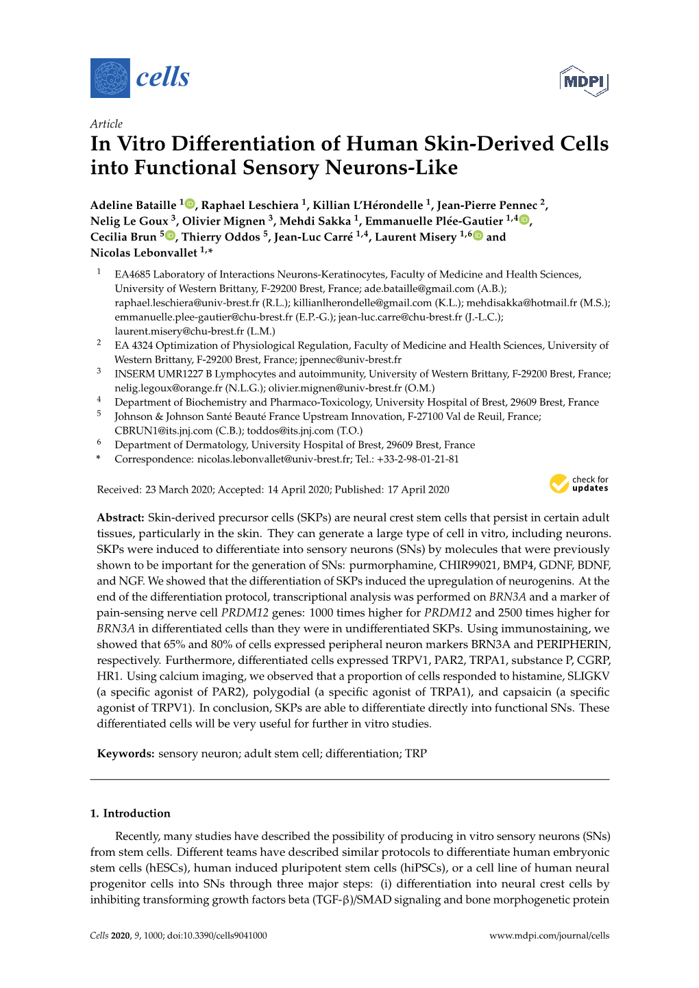 In Vitro Differentiation of Human Skin-Derived Cells Into Functional