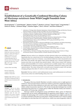 Establishment of a Genetically Confirmed Breeding Colony of Mastomys Natalensis from Wild-Caught Founders from West Africa